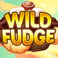 Wild Fudge